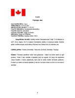 Referāts 'Ekonometrija', 9.