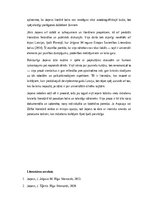 Eseja 'Jānis Joņevs – paaudzes balss un deviņdesmito gadu mīts latviešu prozā', 2.