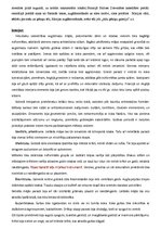 Konspekts 'Gotika, tās raksturojums, izpausme dažādās jomās', 5.