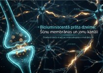 Prezentācija 'Šūnu membrānas un jonu kanāli', 1.