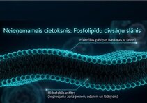 Prezentācija 'Šūnu membrānas un jonu kanāli', 3.