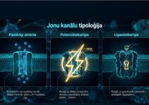 Prezentācija 'Šūnu membrānas un jonu kanāli', 9.