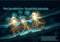 Prezentācija 'Šūnu membrānas un jonu kanāli', 12.