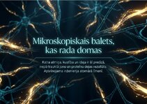 Prezentācija 'Šūnu membrānas un jonu kanāli', 15.