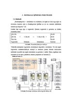 Referāts 'Biomasas pārstrāde un izmantošana', 13.