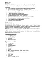 Konspekts 'Integrēta nodarbība dabaszinībās 1.klasei "Upe"', 1.