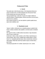 Paraugs 'Ceļojuma organizēšana: Čehija', 2.