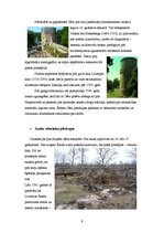 Referāts 'Viduslaiku pilis Vidzemē', 9.