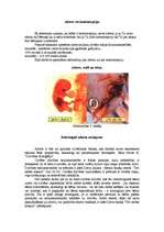 Konspekts 'Aborts vai kontracepcija', 1.