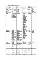 Referāts 'Galvenās globālo tīklu tehnoloģijas un to salīdzinājums', 23.
