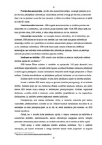 Prakses atskaite 'Prakse a/s "SEB banka"', 19.