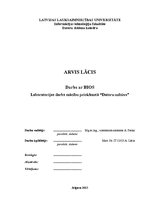 Paraugs 'Darbs ar BIOS', 1.