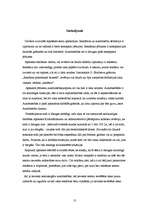 Referāts 'Reklāma un autortiesības', 13.