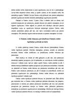 Referāts 'Patenta iegūšana', 5.