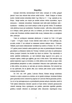 Referāts 'Leonardo da Vinči un viņa ieguldījums mūsdienās', 5.