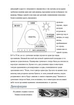 Referāts 'Древнегреческий театр', 7.
