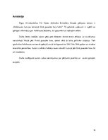 Referāts 'Holokausts Latvijas teritorijā Otrā pasaules kara laikā', 14.