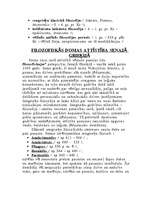 Referāts 'Sengrieķu literatūra', 4.