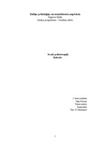 Referāts 'Sociālais darbs un psihoterapija', 1.