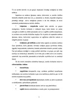 Referāts 'Sociālais darbs un psihoterapija', 5.