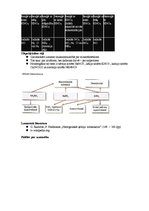 Prezentācija 'Slāpeklis', 21.