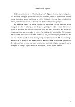 Referāts 'I.Atpile "Neatburtā uguns"', 6.