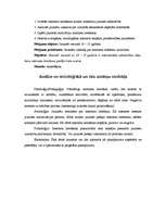 Konspekts 'Interneta lietošanas nozīme mūsdienu jauniešu sabiedrībā', 2.