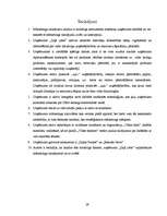 Referāts 'Mārketinga risinājumu analīze uzņēmumā "Zaļā josta"', 29.