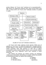 Prakses atskaite 'AS "Lauva auto" mārketinga vides pasākumu analīze', 7.