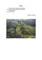 Referāts 'Islandes Republika', 2.