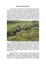 Referāts 'Islandes Republika', 5.