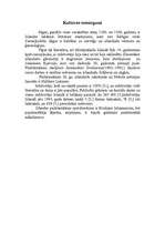 Referāts 'Islandes Republika', 10.