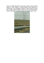 Referāts 'Islandes Republika', 13.