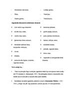 Referāts 'Jūgendstils un atsevišķas Alberta ielas celtnes', 10.