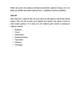 Referāts 'Saimniekošanas priekšrocības un trūkumi', 6.