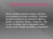 Prezentācija 'Roma', 4.