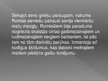 Prezentācija 'Roma', 5.