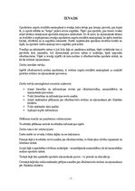 Referāts 'Olbaltumvielu ietekme uz atjaunošanos pēc fiziskām slodzēm', 3.