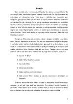 Referāts 'Nīče un ideja par pārcilvēku', 4.