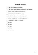 Referāts 'Nīče un ideja par pārcilvēku', 29.