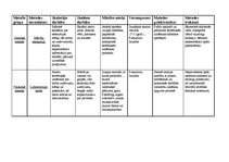 Konspekts 'Didaktika', 1.