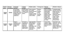 Konspekts 'Didaktika', 2.