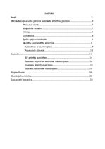 Referāts 'Pusaudžu, jauniešu psihiskās attīstības raksturojums', 2.