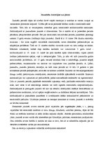 Referāts 'Pusaudžu, jauniešu psihiskās attīstības raksturojums', 18.