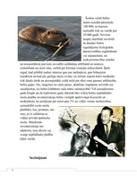 Referāts 'Bebru aizsardzība', 9.