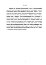 Referāts 'Elektronisko datu pārraides tehnoloģiju pielietošanas iespējas uzņēmumā', 3.