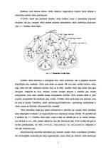 Referāts 'Elektronisko datu pārraides tehnoloģiju pielietošanas iespējas uzņēmumā', 5.