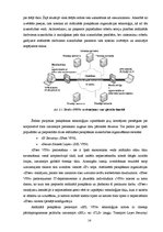 Referāts 'Elektronisko datu pārraides tehnoloģiju pielietošanas iespējas uzņēmumā', 14.