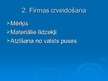 Prezentācija 'Juridiskās personas nosaukums. Uzņēmums', 4.
