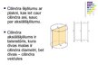 Prezentācija 'Cilindrs', 5.